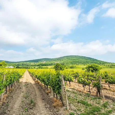 Cosy 2 Bedroom Flat Close To The Town With Parking Apartmán Bratislava